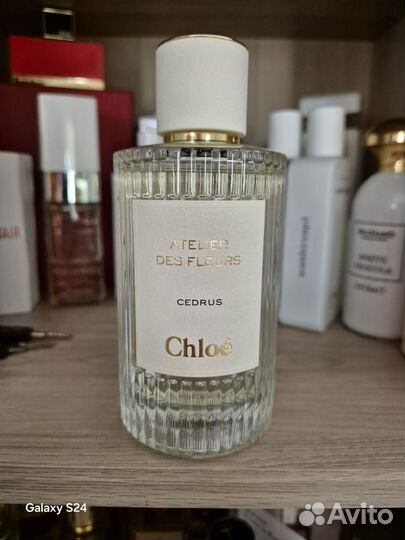 Chloe Atelier Des Fleurs Cedrus