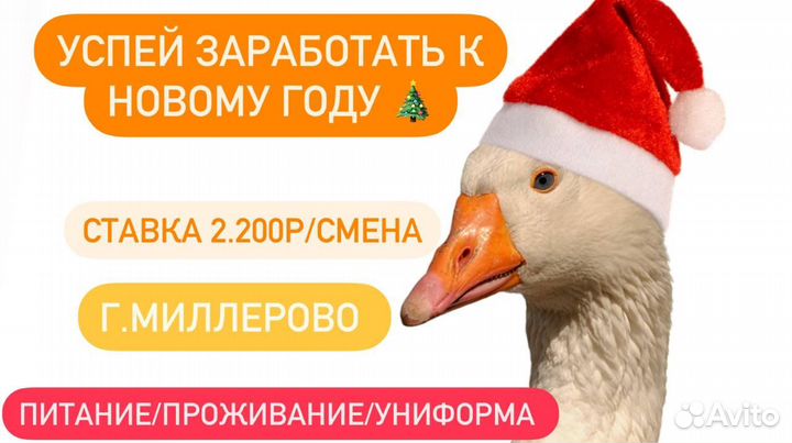 Вахта в Ростове / упаковщик мяса птицы