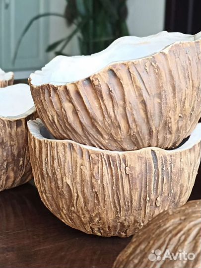 Тарелка кокос