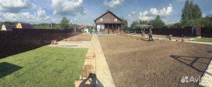 Рулонный газон/продажа/укладка