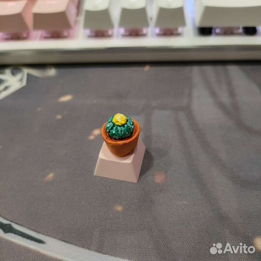 Кейкап кактус