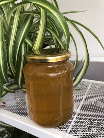 Мед цветочный