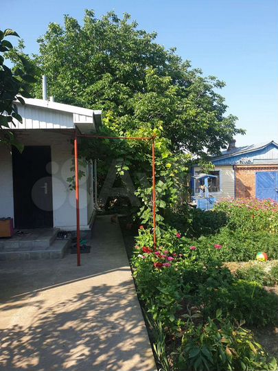 Дом 56 м² на участке 24 сот.