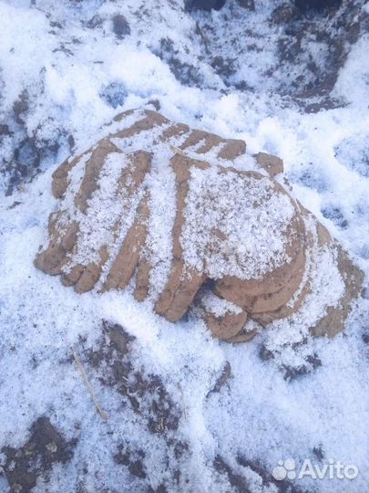 Навоз зимой Коровьи лепёшки)