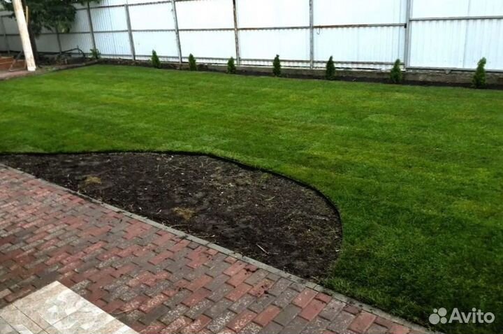 Рулонный газон
