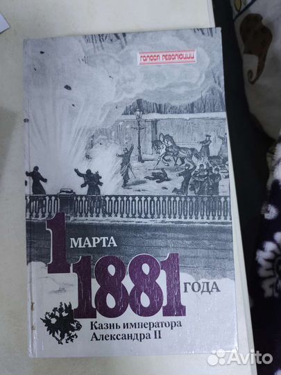 1881 год книга