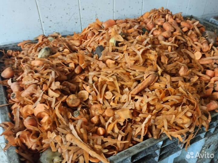 Картофель на корм скоту