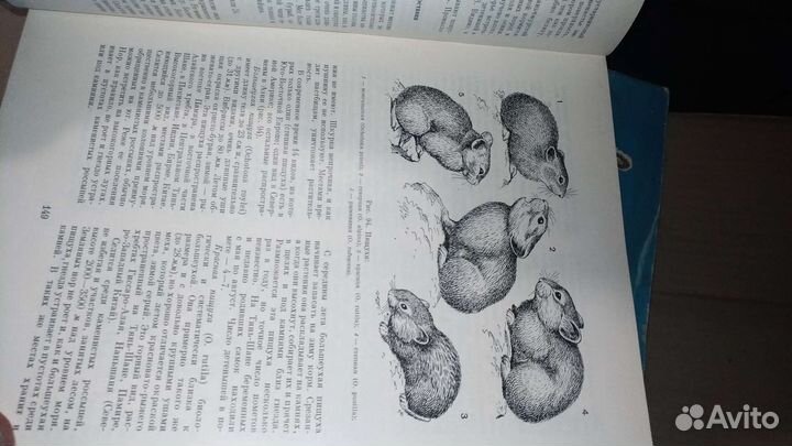 Жизнь животных, том 6