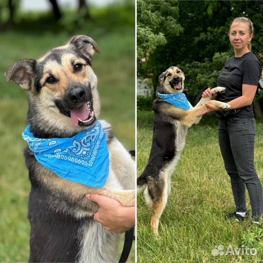Ласкуша Джейна ждет свою семью