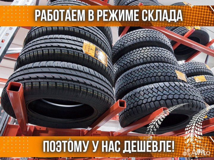 Gislaved PremiumControl 195/50 R15