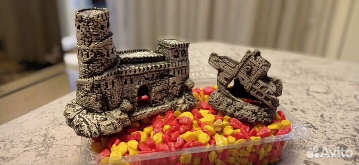 Аквариум с сомиками