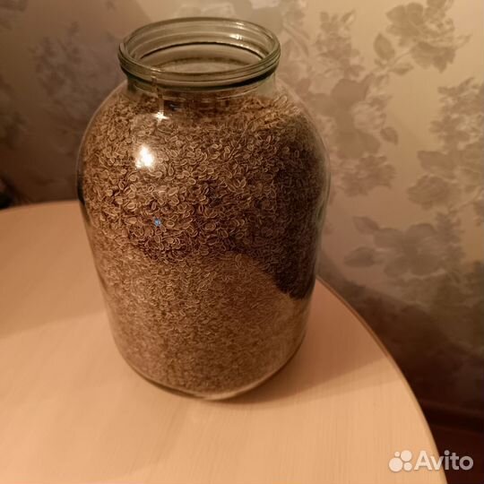 Семена укропа