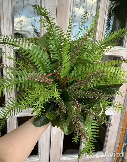 Кашпо с папоротником