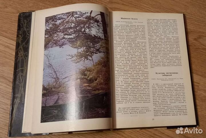 Книги Лесные памятники 1986