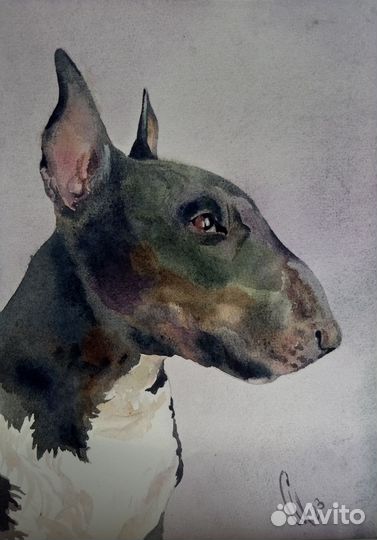 Картина акварель