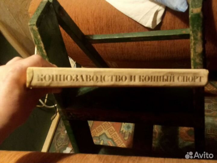 Конезавоство и конный спорт