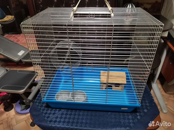 Аксессуары для птиц/ грызунов