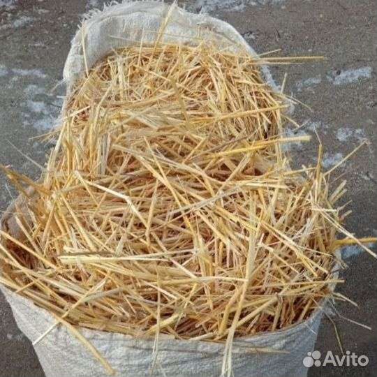 Солома в мешках 150