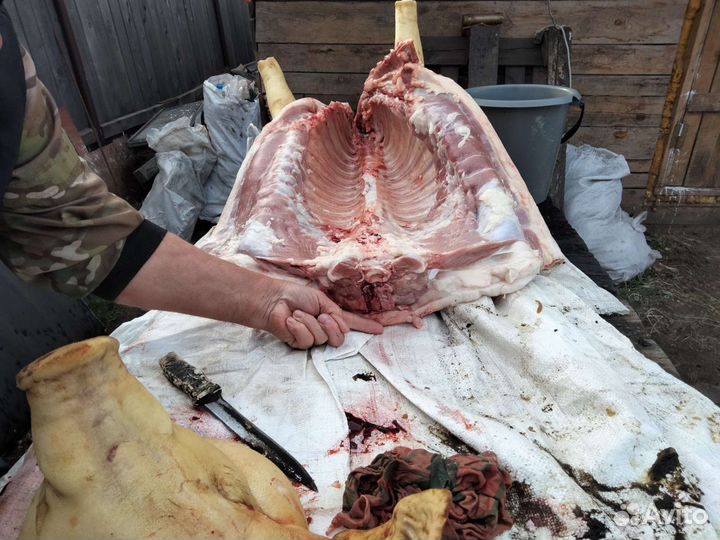 Мясо свинина домашняя деревенская