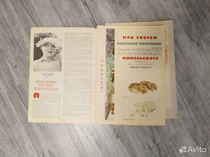 Книги с иллюстрациями детские