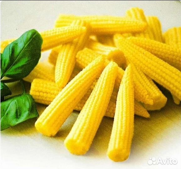 Семена необычной Кукурузы
