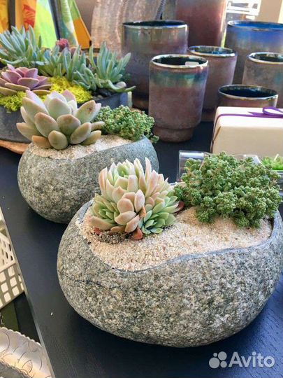 Кашпо, цветочные горшки, вазоны из натурального ка