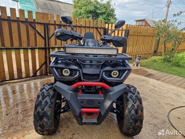 Снегоболотоход Avantis Hunter200 Nev Premlum