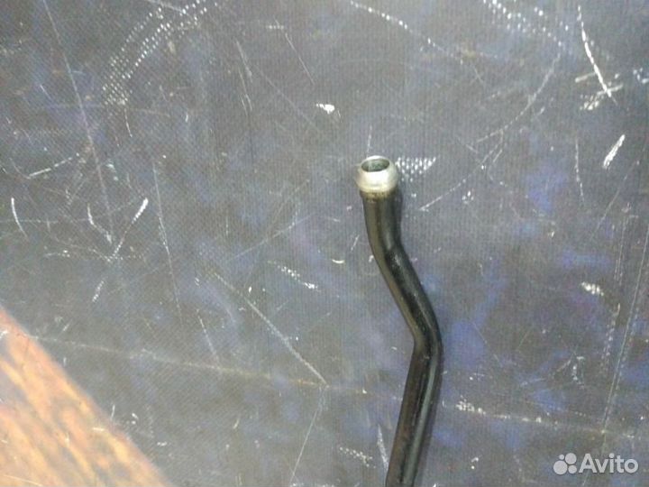 Шланг масляный Volkswagen Passat Variant B5 AZX