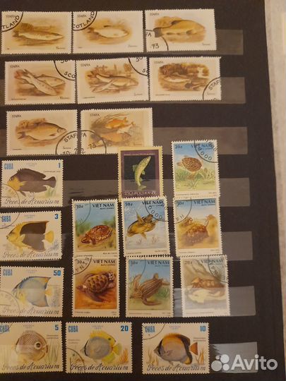 Почтовые марки фауна,флора