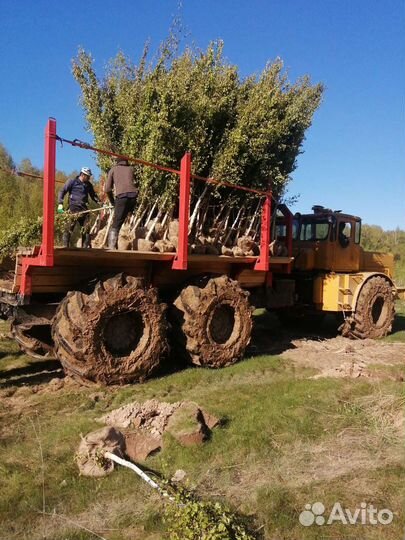Запчасти на трактор к 700