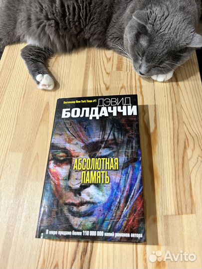 Абсолютная память - Дэвид Болдаччи