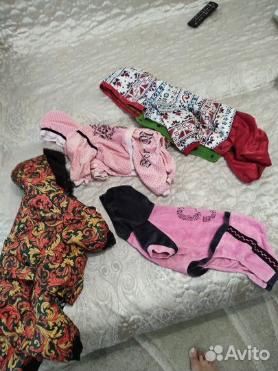 Комбинезоны для собаки зимний демисезонный летний