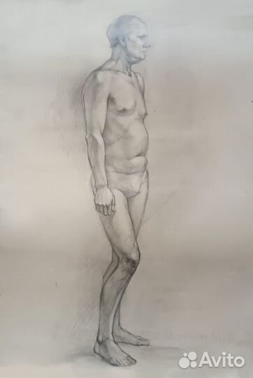 Репетитор по рисунку и живописи