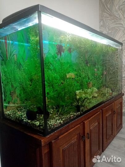 Аквариум на 500 литров в комплекте