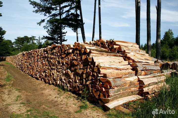 Дрова из бука от 4м3