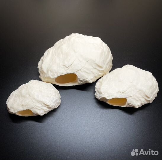 Влажная камера для рептилий