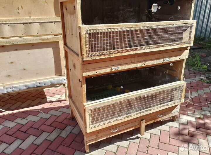 Брудер для цыплят бу