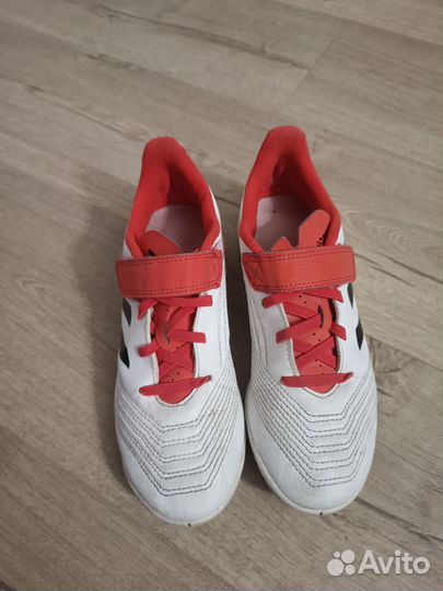 Бутсы для зала adidas predator 36 размер(23см)