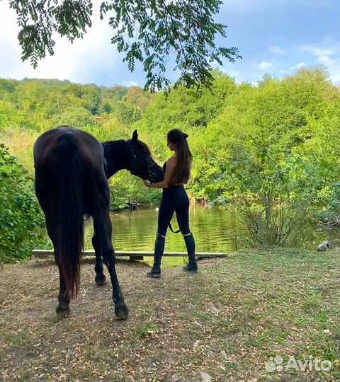 Конные прогулки с трансфером без посредников