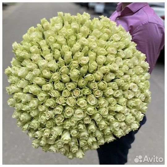 101 Премиальная Белая Роза