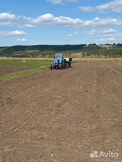 Трактор МТЗ (Беларус) 80, 1981