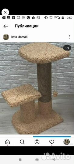 Когтеточка