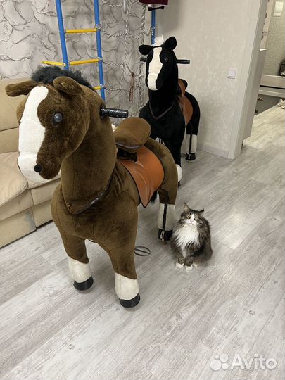 Лошадка поницикл