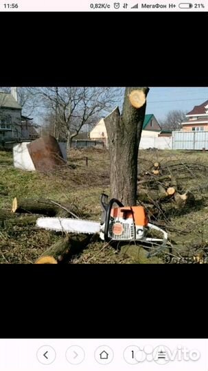 Спил деревьев