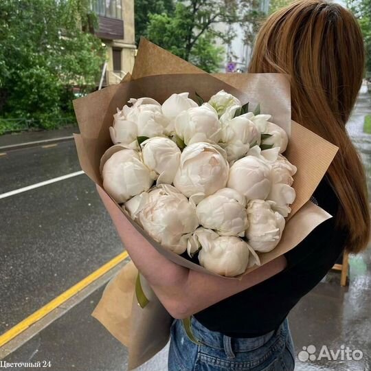 Голландские пионы