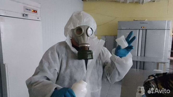 Уничтожение насекомых, запахов,плесени, борщевика