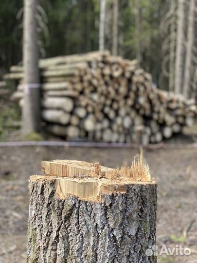 Расчистка участков / спил деревьев