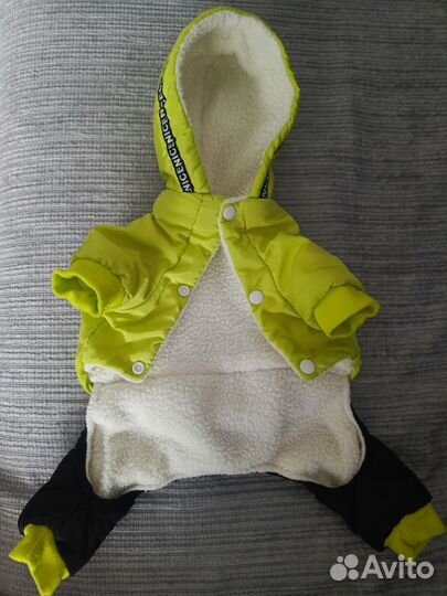 Одежда для собак мелких пород