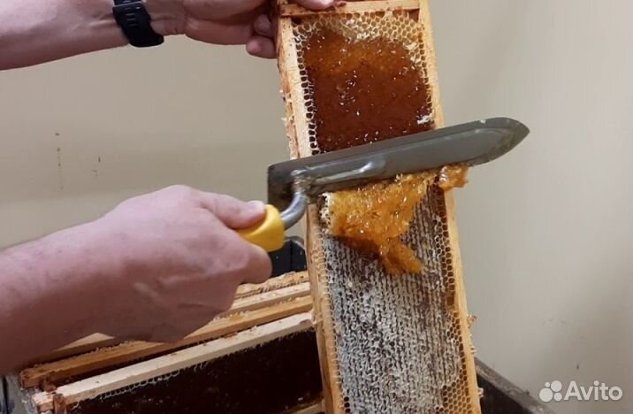 Мёд натуральный оптом