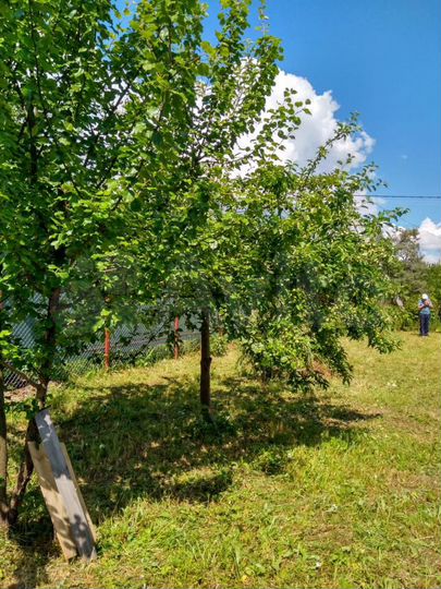 Участок 6,1 сот. (СНТ, ДНП)